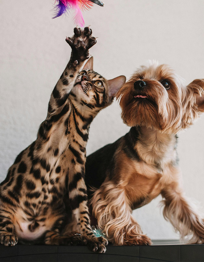 tranquillite-illimitee